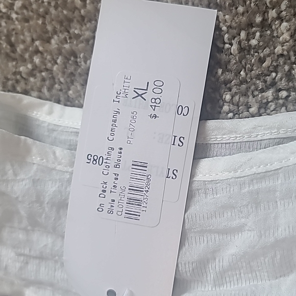 Papillon - Picture 3 of 3